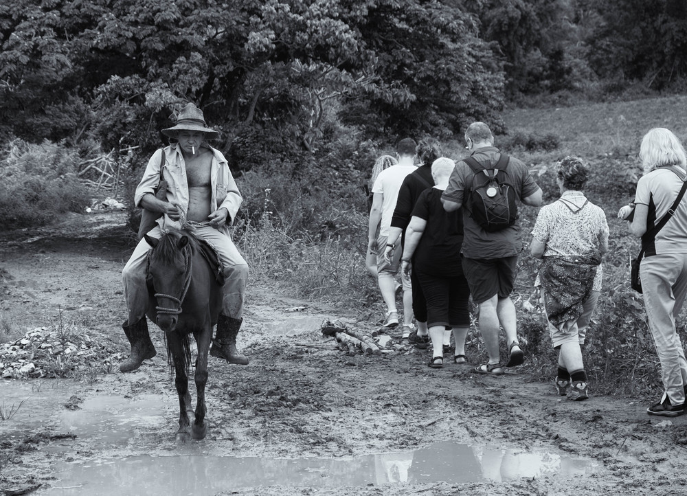  Horseman, pass by! 